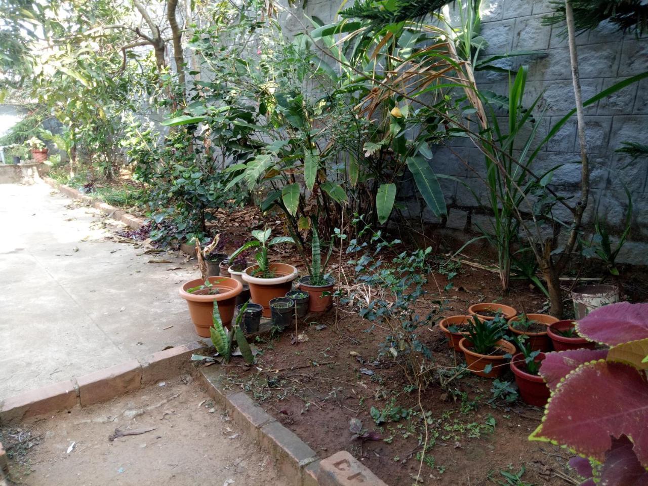 Coorg Villas Madikeri Ngoại thất bức ảnh